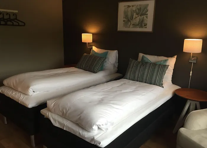 الاقتصادي فندق كونغسفينغر