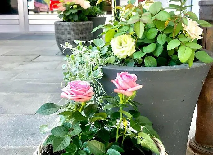 الاقتصادي فندق كونغسفينغر