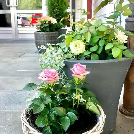 Budget Otel Kongsvinger